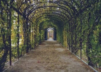 how to upgrade my garden homemendous