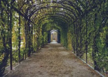 how to upgrade my garden homemendous